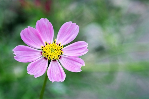 国庆宣传语简短 2024庆中秋迎国庆的广告宣传语