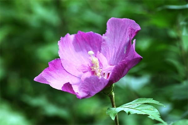 带点套路的真心话汇总 真心话高级情感问题