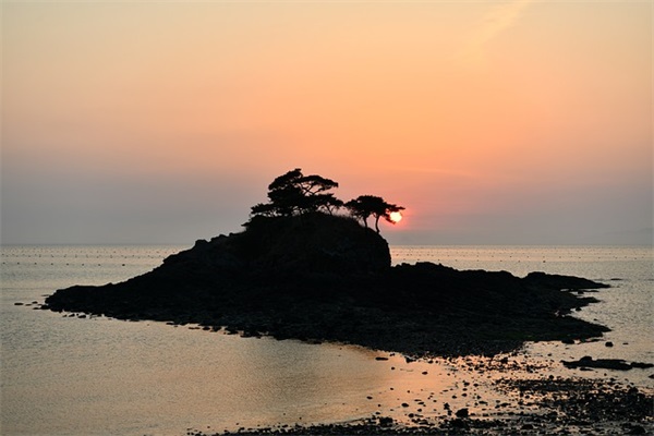 文体中心(精选4篇)