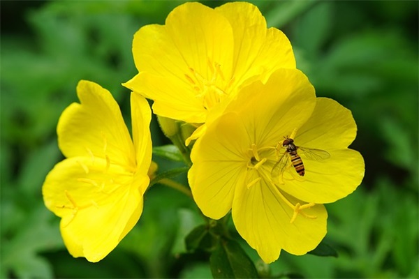 很甜的短句 很甜的小短句(精选32句)