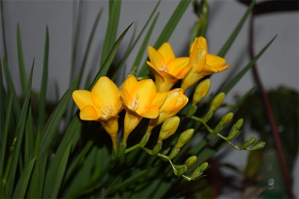 原来是这样的(精选2篇)