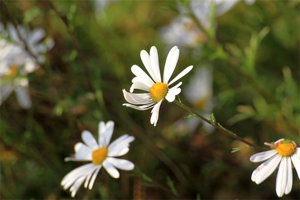 物管员岗位职责(精选3篇)