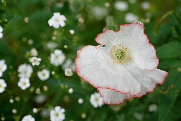 一句正能量的话简短鼓励自己(精选32句)