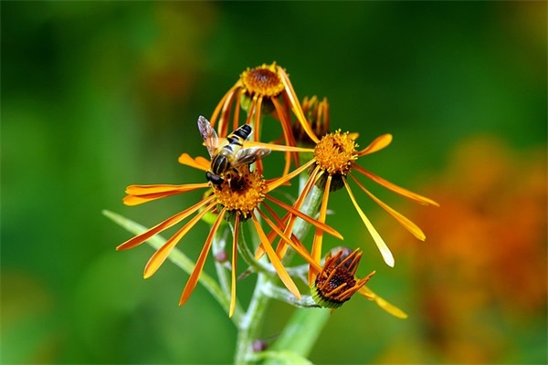 做核酸检测(精选2篇)