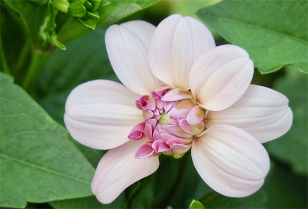 公司口号霸气押韵8字(精选85句)