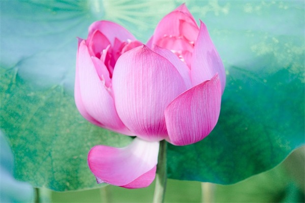 三岁生日妈妈怎么发朋友圈(精选24句)