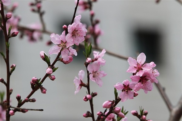 跳长绳(精选3篇)