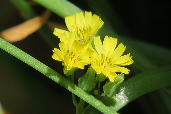 早安小情话暖人心给男生(精选47句)