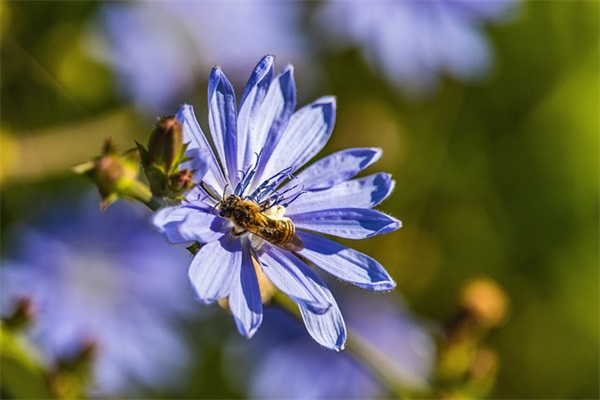 形容一家人幸福的成语(精选23句)