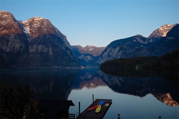 观察动物(精选3篇)