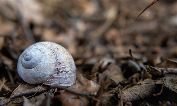 早餐食谱简单快速做法 精选50种(精选1篇)