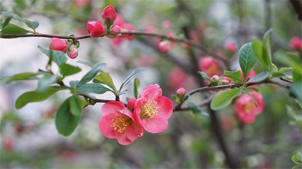 自己一个人也很好的文案(精选27句)