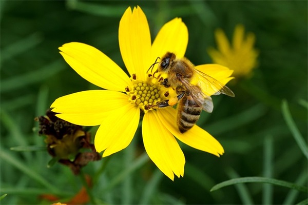会计主要的职责内容(精选4篇)