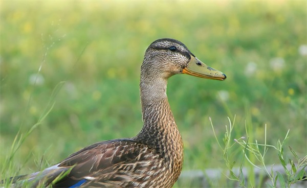 八字干净签名 5字干净签名温柔(精选84句)