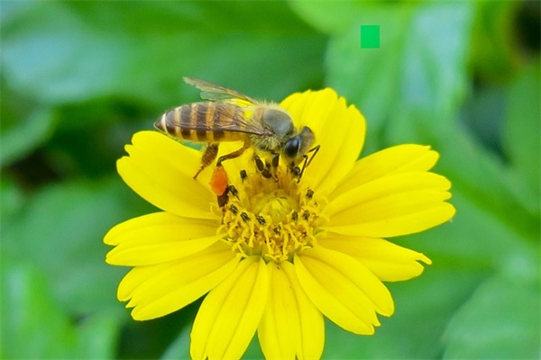 微信拍一拍文案，拍一拍的有趣文案推荐(精选69句)