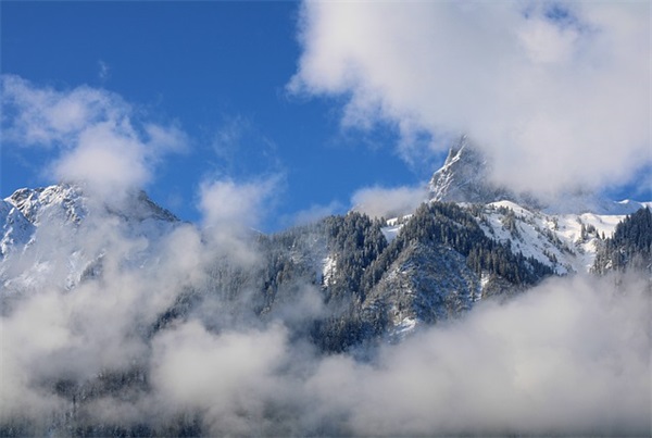 沙雕搞笑有趣生日文案(精选41句)