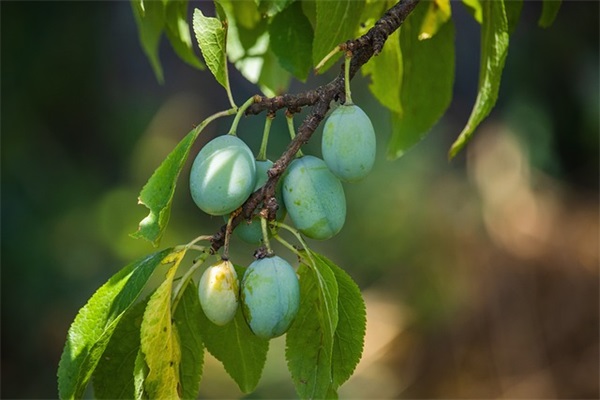 最近很火的经典短句(精选28句)