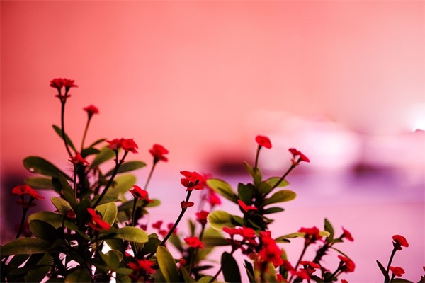 关于有趣的谐音歇后语(精选63句)