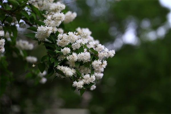 喜提新车朋友圈文案(精选30句)