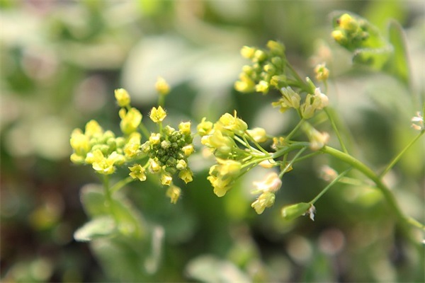 适合配风景图朋友圈文案大全(精选49句)