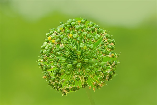 夸男生的彩虹屁文案(精选30句)