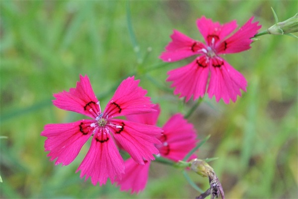 愿你所爱之人，一生挚爱你一人 愿明天一切安好的短句