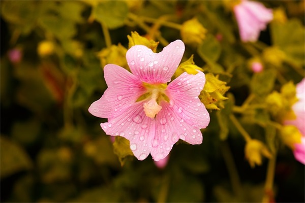 大扫除(精选3篇)