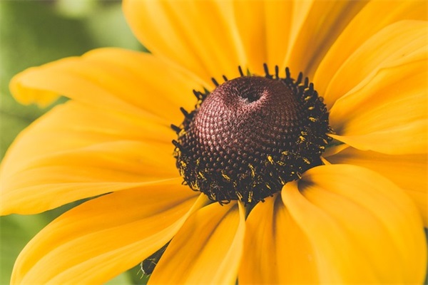 自己照片发朋友圈配句 适合发自己照片的短句