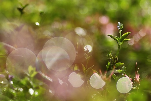 关于窗帘的广告语 窗帘广告语宣传语(精选61句)