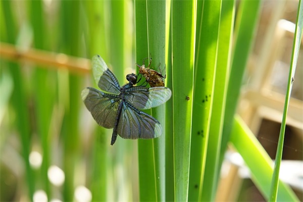祝愿朋友前程似锦的文案(精选26句)