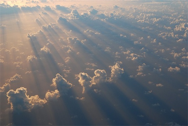 车间各管理岗位职责(精选5篇)