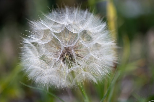 套路一问一答搞笑 套路人的话一问一答反搞笑
