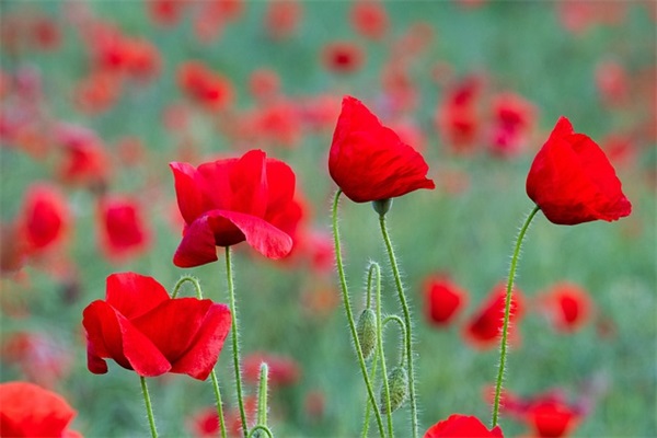 维修车间安全职责(精选4篇)