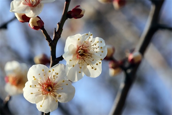 国庆节短信顾客80句