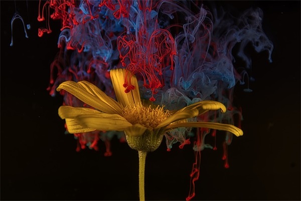 端午节给恋人的短信80句