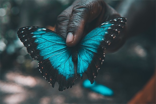 性生日快乐短信80句