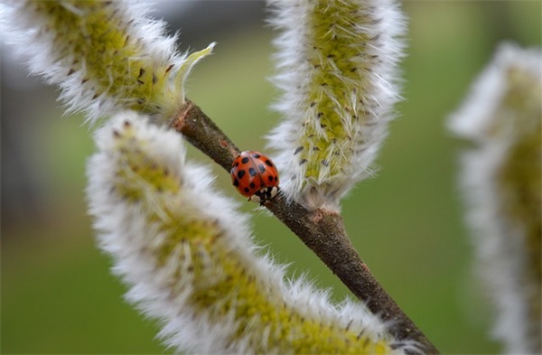 愚人节忽悠短信80句