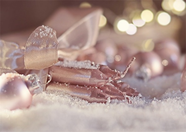 元旦给客户节日短信80句