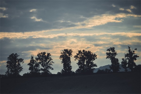 2025年早安问候语短信