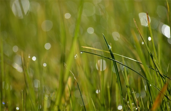 给爱人生日祝福短信86句