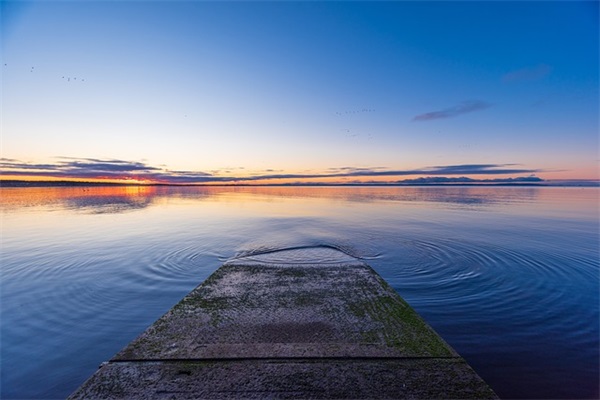元旦新年祝贺短信81句
