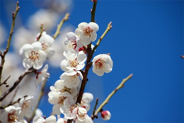 父亲节的精彩短信81句