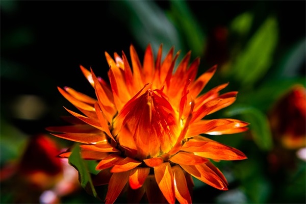 国庆节朋友祝福短信81句