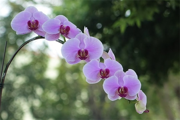 教师节的短信祝福80句