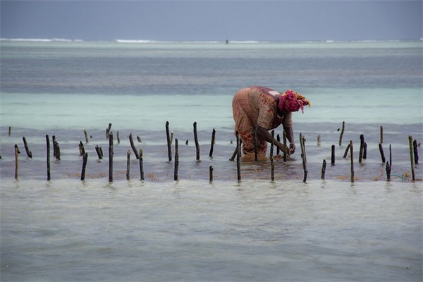 春节给老板的祝福短信84句