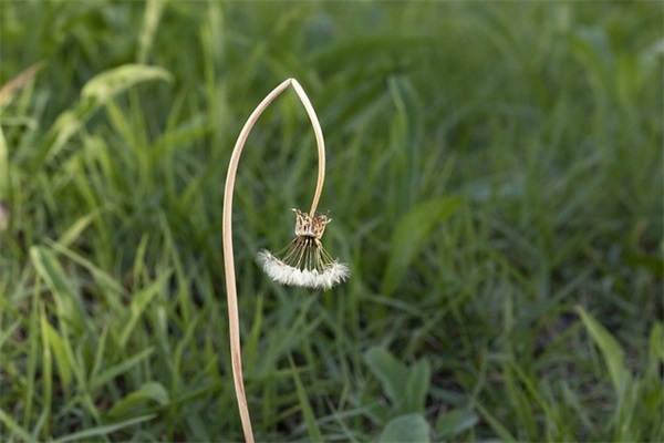 过年给领导问候的短信82句