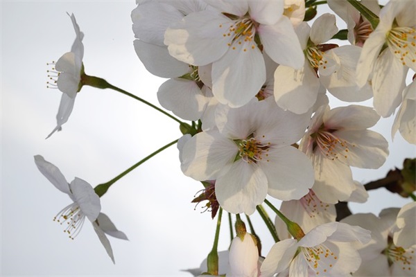 给领导的短信大全81句