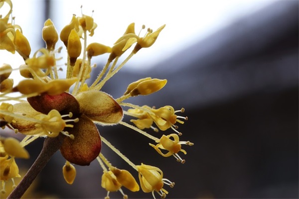 年初一短信83句