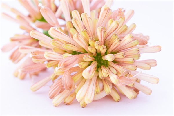 端午节情话短信80句