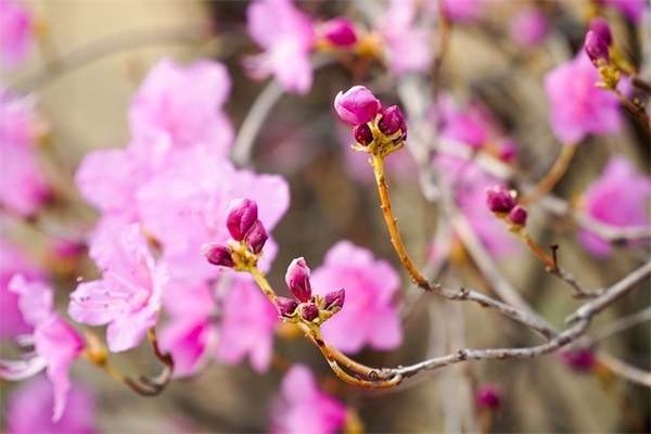 端午节短信贺词80句